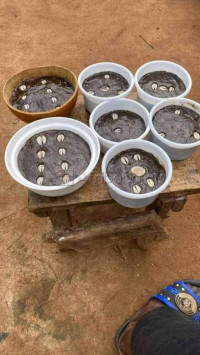 Best Love spells online to Reunite Ex Lost Lovers in 3 days ☎ @ +27-73-479-3788